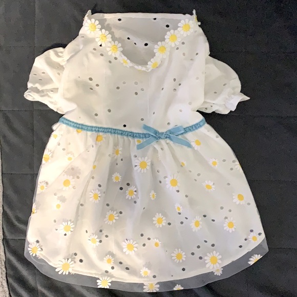 Adorably Pretty White Daisy Tutu Doggie 🐶 Dress - Picture 2 of 4